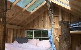 Treehouse